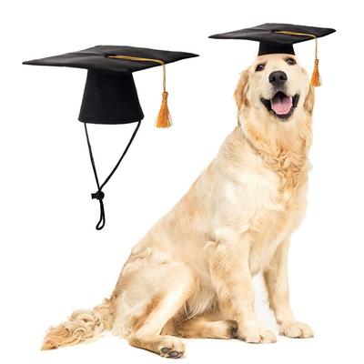 Haustierhüte Hund-Abschlusskappen mit gelbem Quaste Kostüme für Hunde Katzen Arztkappe Feiertagsparty-Kleidung Hundezubehör Outfits