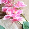 10% Off Clearance: Fake Phalaenopsis Orchid Artificial Flowers for Home Decor and Wedding Celebrations