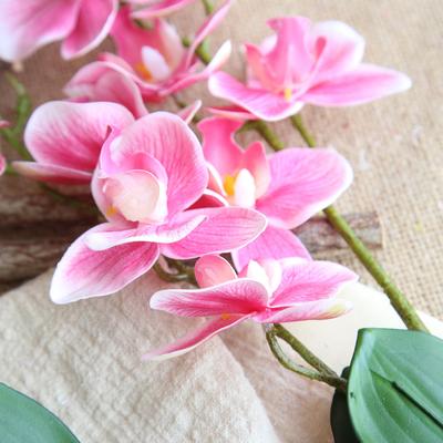 10% Off Clearance: Fake Phalaenopsis Orchid Artificial Flowers for Home Decor and Wedding Celebrations