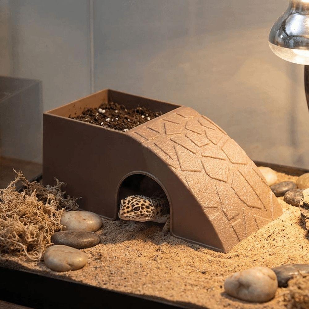 Anti Drowning Reptile Feeding Box With Moss Tray Water Dispenser Pet Breeding