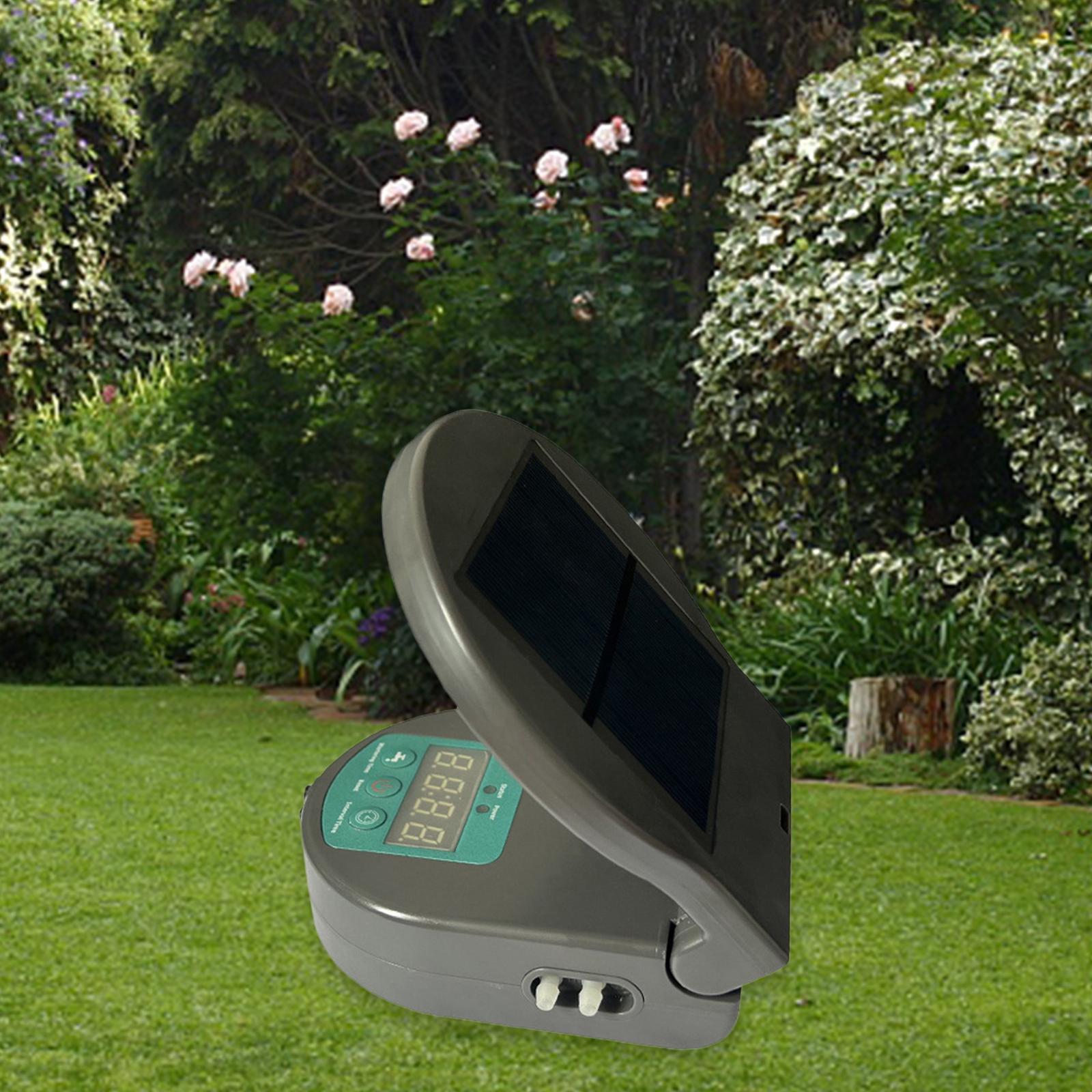 

Система туманообразования для рептилий на солнечной энергии для ландшафтного дизайна террариума для рептилий серый