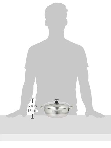 Miyazaki Seisakusho Objet The Tempura Pot, 20cm, Made In Japan, 5-Year Warranty, IH Compatible, Lightweight, OJ-44