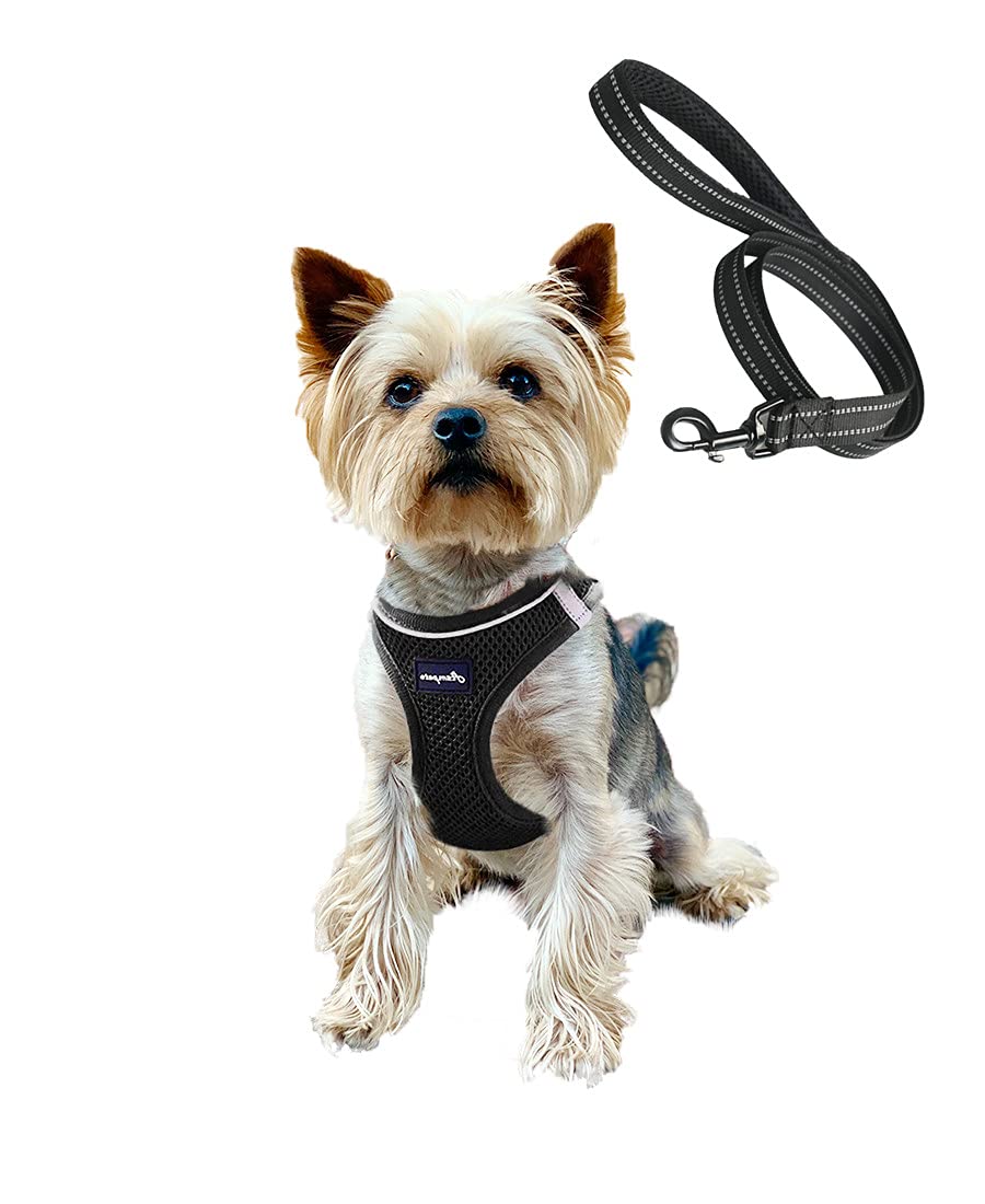 

ASMPET Dog Harness and Leash for Small Dogs and Adjustable Collar and Night No Size 3XS Puppies, Breathable, Harness, Anti-Pulling, Comfortable, Soft, чорний