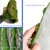 Fond en Mousse d'Écorce Polyvalent pour Projets Créatifs et Environnements de Terrarium Résistant à l'Humidité et Facile à Utiliser