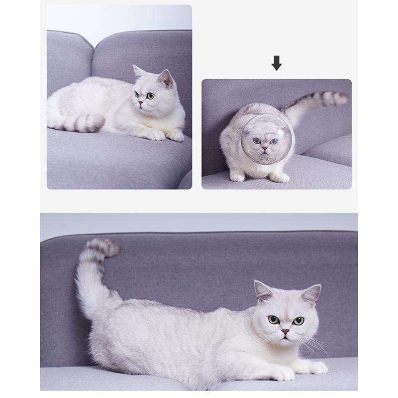 Ademend Kattenmuilkorf Anti-Bijt Verzorgingsmasker Anti-Likken Beschermende Ruimtekap