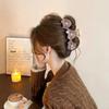 Korean INS Style French Retro Acetate Flower Claw Clip Hair Accessories