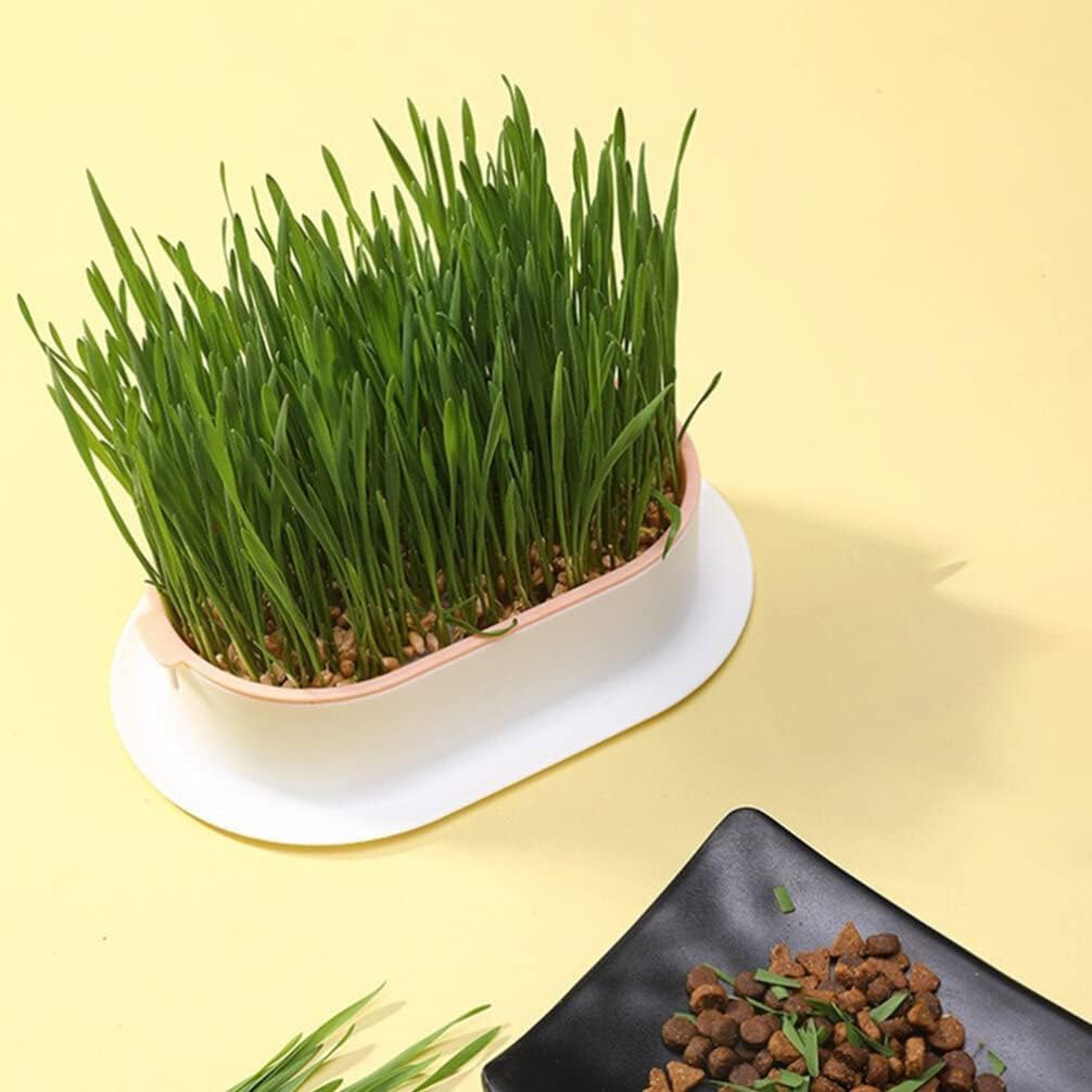 4pcs Cat Plant Convenient Planting Box Household Cat Grass Box Nursery Cat Plant (4 Colors)