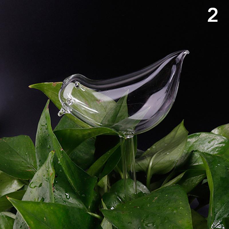 11 Types Glass Plant Flowers Water Feeder Automatic Self Watering Devices