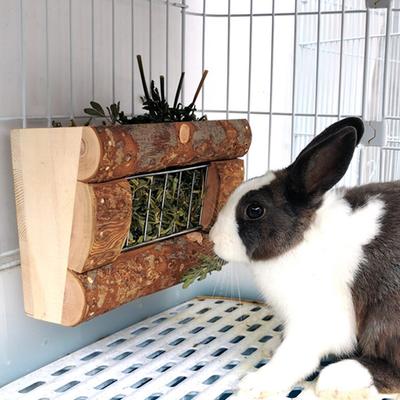 Rabbit Natural Wooden Grass Shelf 304 Stainless Steel Net Hay Dispenser Hanging Hay Feeder For  Guinea Pig