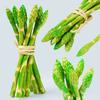 Artificial Simulation Asparagus Model Fake Vegetable Fruit Ornament Shop Display Cabinet Kitchen Home Decoration 6pc/lot