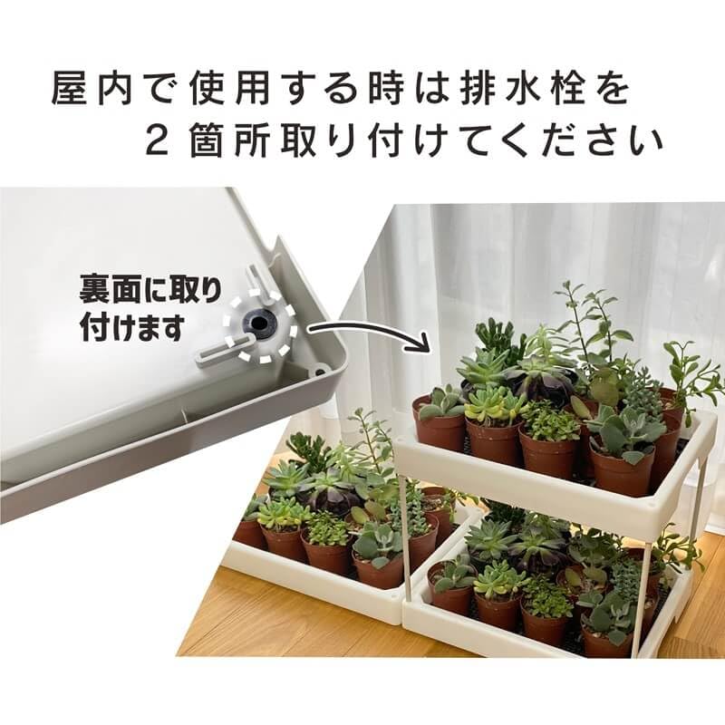 DAIM Succulent Plant Greenhouse 35x28x29cm, White