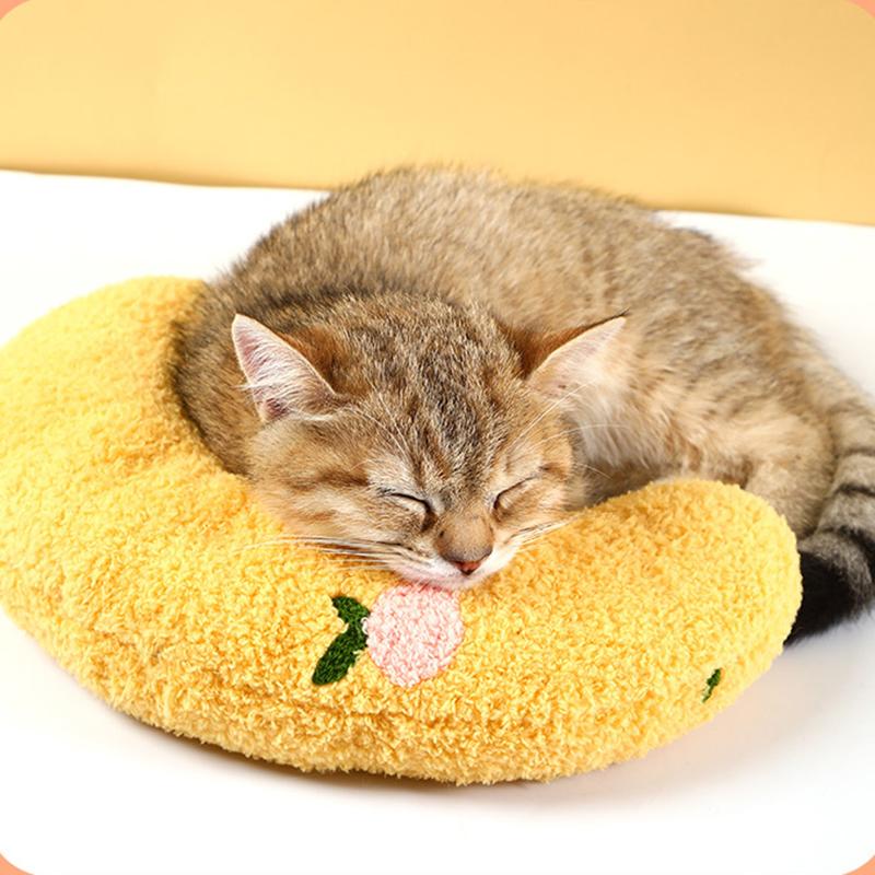 

New Name Cat pillow