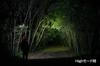 GENTOS LED Headlight 400 Lumens Operating Time 10 Hours Rear Recognition Uses 3 AA Batteries Batteries Dragforce [Brightness / / Light] (test