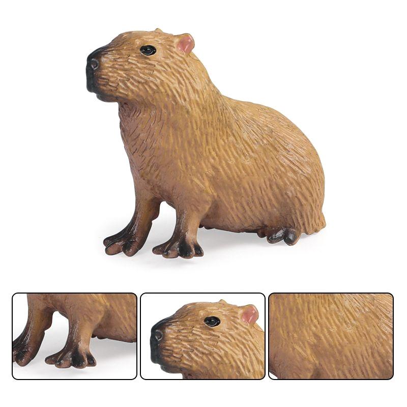 

Capybara Toy Wildlife Model, Children Simulation Static Plastic Animal Figure Dolphin Toy 1