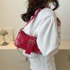 Trendy Bag for Women, New Fashiable and Simple Crossbody Bag, Zipper Closure, Casual Commuting Shoulder Bags