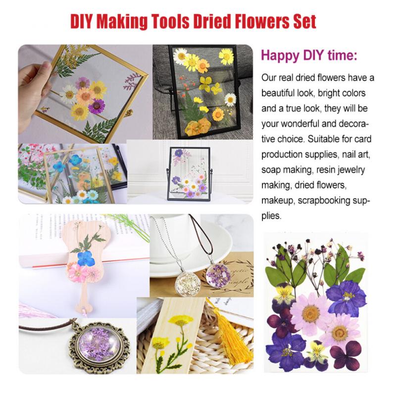 (Violett) Trockenblumen Set Echte Blumen Aufklebermaterialien Gepresstes