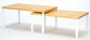 Set Of 2 Ginger Bamboo Shelves White Craft