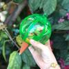 1Pc Automatic Flower Watering Machine Household Dripping Facilities Succulent Shower Lazy Plant Watering