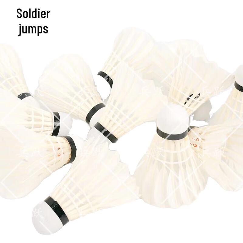 

Bingyue 402 Goose Feather Badminton Shuttlecocks, 12-Pack