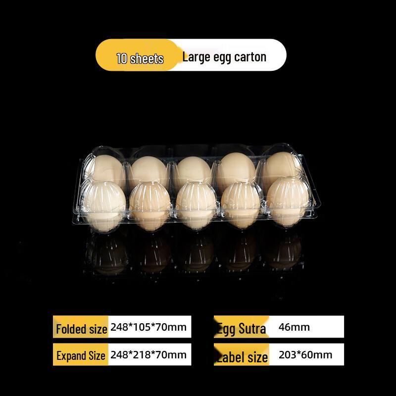 Thickened Clear Plastic 10-Egg Cartons