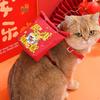 Pet Plush Backpack Harness & Leash Set