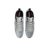Nike Air Max Ishod Wair SB Silver Bullet Pánské tenisky Metalicko-stříbrná Univerzitní červená Černá HF3062-001