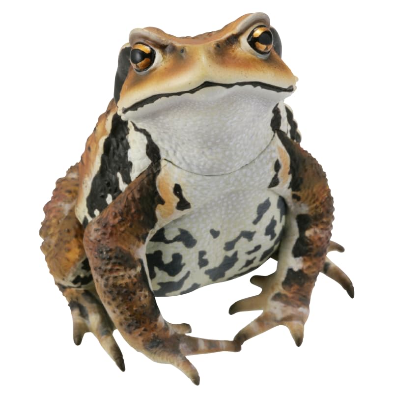 Nature Technicolor Japanese Frogs Special Edition Japanese Toad Gacha Capsule Toy