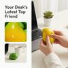 New Handmade Crispy Mango Squishy Stress Ball Crunchy Squeeze Fidget Toy Round Blocks ASMR Sensory Decompression for Adults