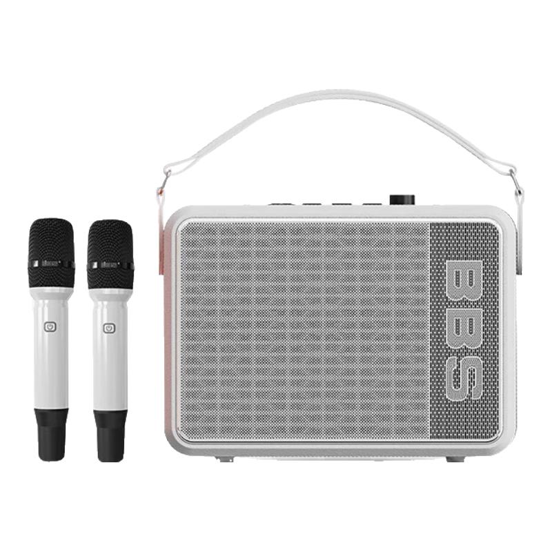

BBS P6 Portable KTV Speaker with Dual Microphones