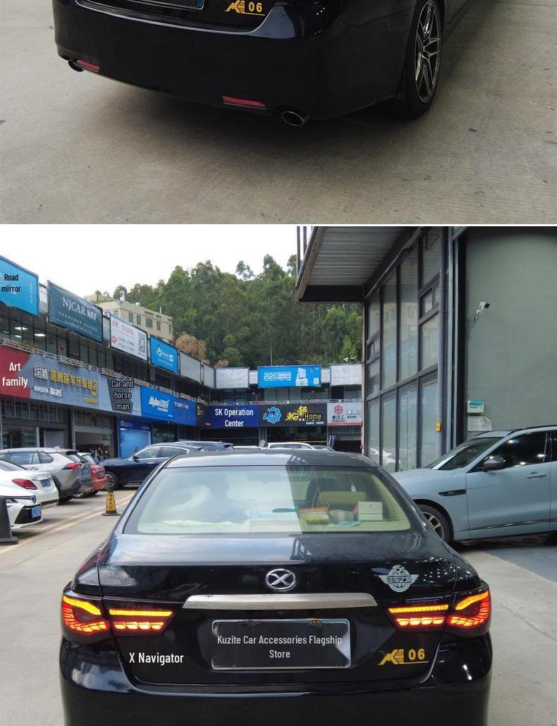 LED Dragon Scale Daytime Running Lights & Flowing Turn Signal Taillights for 10-17 Toyota Reiz