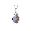 1PC Acrylic Cute Keychains Cats 2D Flat Backpack Ornament Accessories Cat Key Rings Creative Animal Key Holders Funny