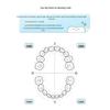 Panasonic Electric Toothbrush EW-DM31 CN plug (adapter included)