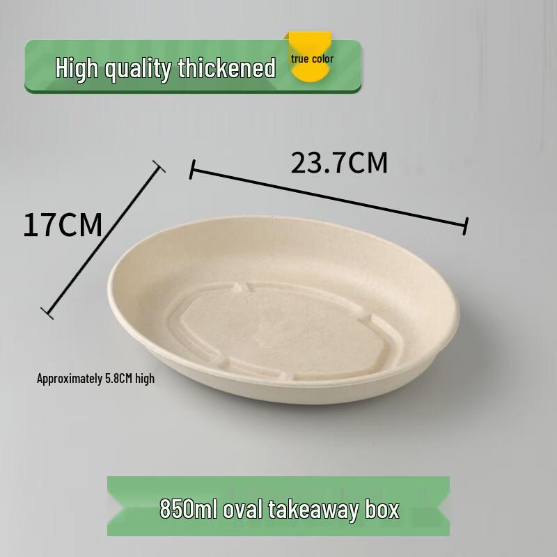 Shixun Biodegradable Pulp Takeaway Food Container