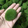 10Pcs Artificial Moss Ball, Decorative Covered with Fake Stone