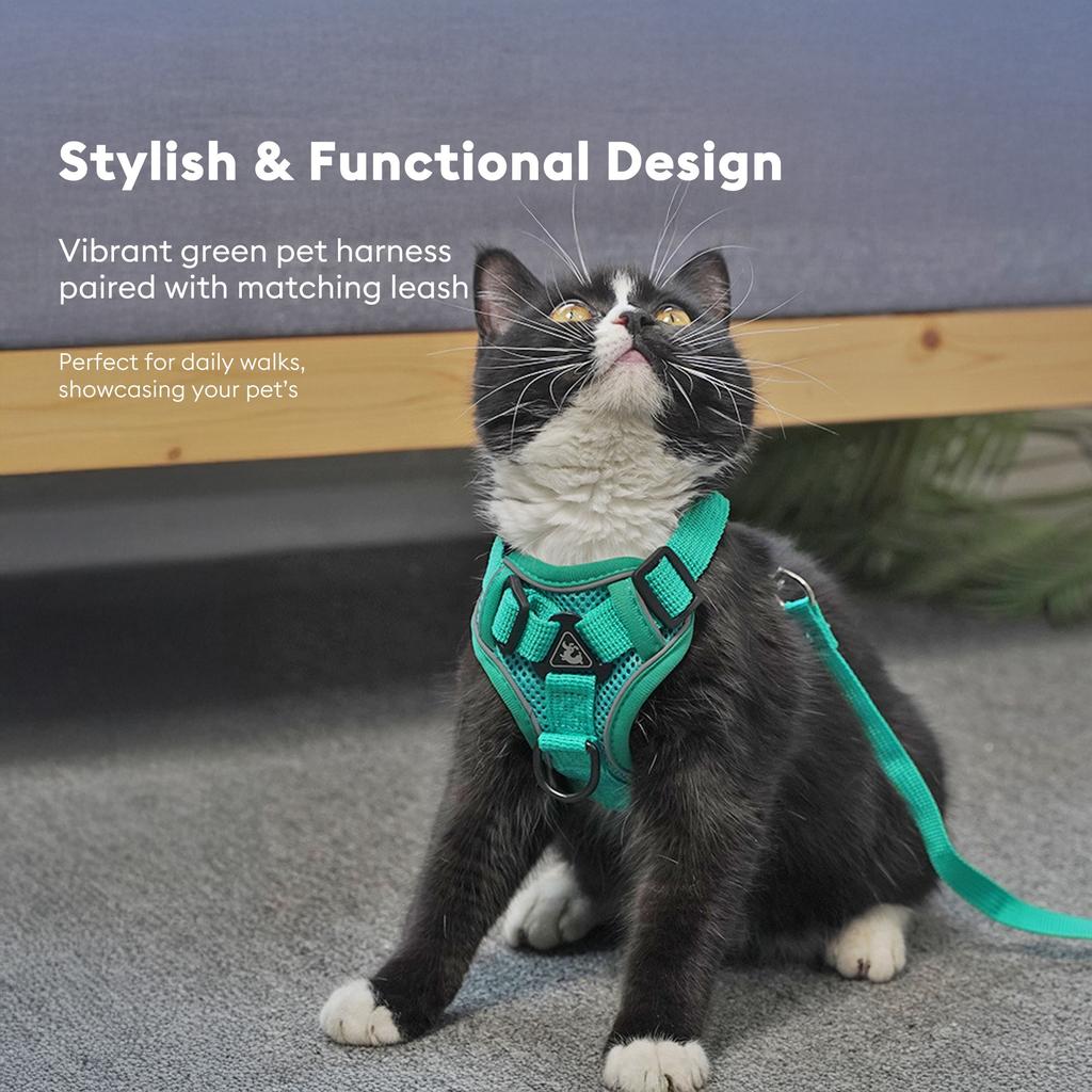 Luxury & Lovely Reflective Dog Accessories Soft Adjustable Harness Vest with Durable Leash for Dogs