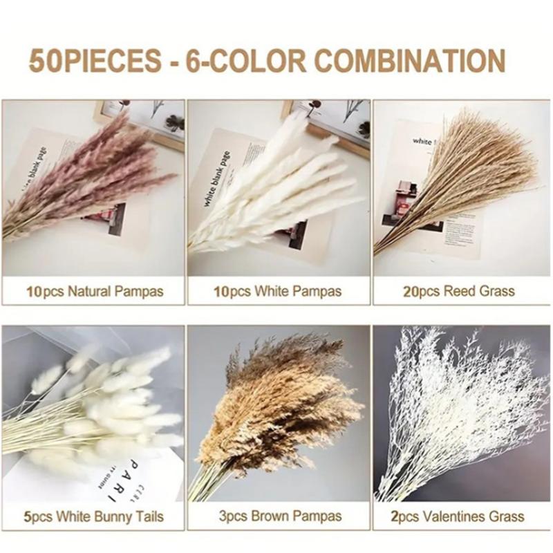 

Natural Reed Grass Dried Flower Christmas Wedding Festival Party Plant Bouquet Living Room Dining Room Decoration Pampas Grasses