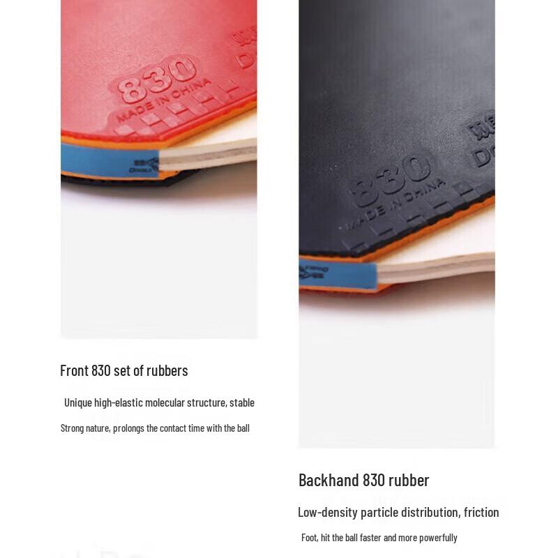 Double Fish Table Tennis Racket Set