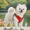 Lightweight Leash Set Adjustable Vest Harness Pet Accessories Pet Dog Harness  Small Medium Dog