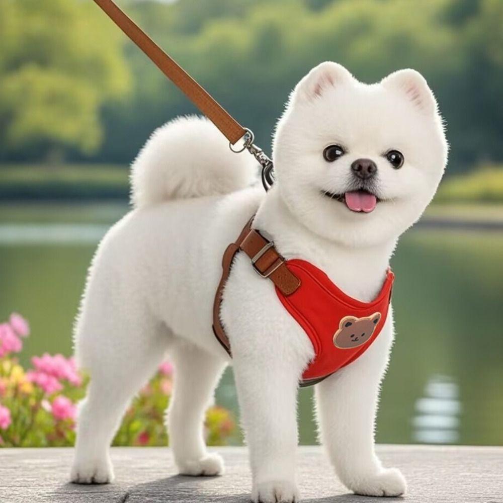 Lightweight Leash Set Adjustable Vest Harness Pet Accessories Pet Dog Harness  Small Medium Dog