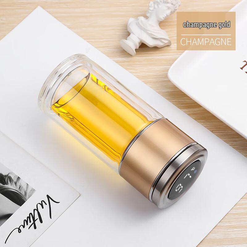 SX Smart Temperature Display Double-Wall Glass Tea Tumbler