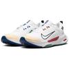 Nike Scarpe da Trail Running da Uomo Juniper Trail 2 GORE-TEX 'White Cedar Court Blue' FB2067-102