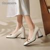 Fashion French High-End Metal Buckle Elegant Square Head Thick Heel Women's Summer New Vintage Fashion Single Shoes Zapatos De Mujer