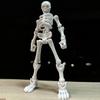 Figuras de Esqueleto DIY Mini Esqueletos de Plástico Articuláveis com Articulações Móveis Artesanato DIY Festa de Halloween Decoração de Casa Assombrada