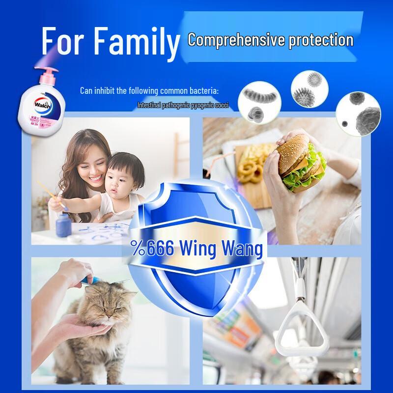 Walch Silk Protein Hand Wash