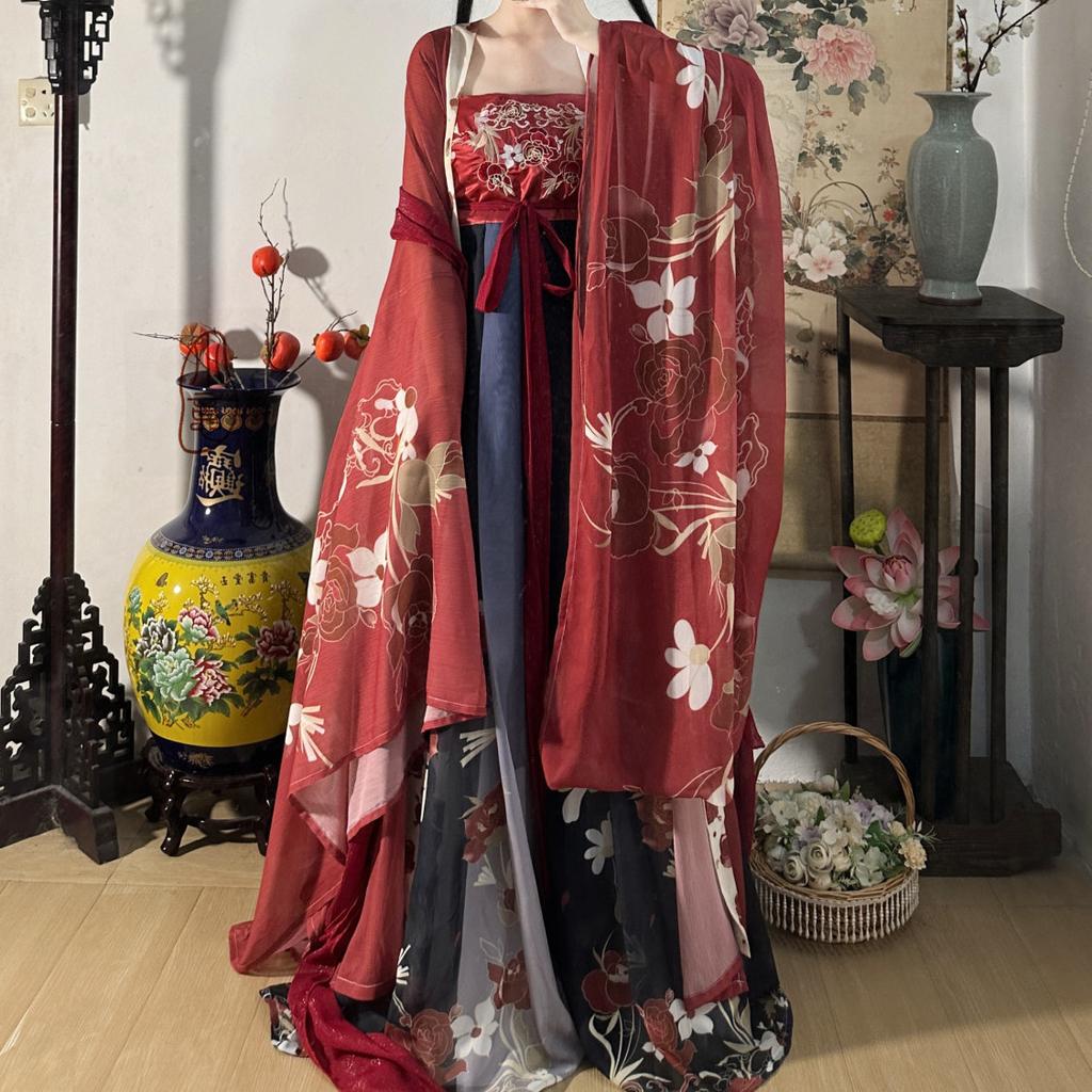 Rochie HE ZI în stil chinezesc din dinastia Tang Costum pentru femei Hanfu Costum zilnic brodat