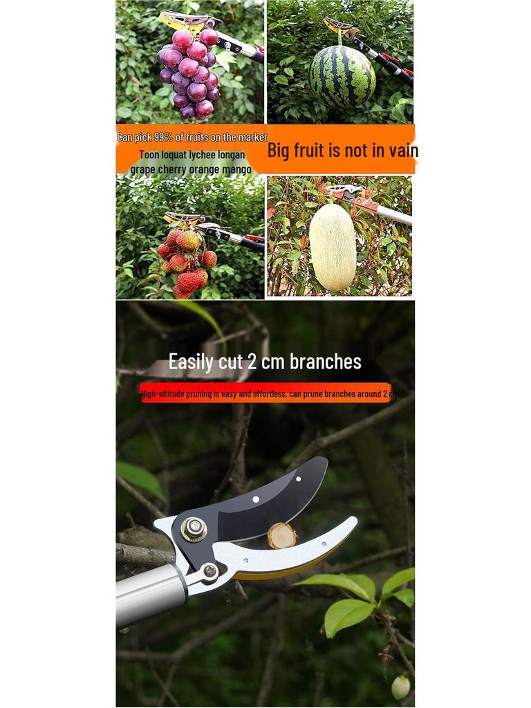 Yüksek Dallar İçin Teleskopik Budama Makası ve Meyve Toplayıcı - Trabzon Hurması, Liçi, Longan ve Malta Eriği İçin İdeal