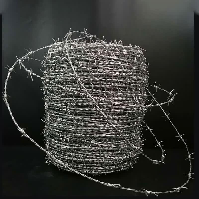 Barbed Wire Security Fence