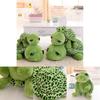 Adorable Big Eyes Turtle Plush Toy Uniquely Stuffed With Soft High Quality Plush
