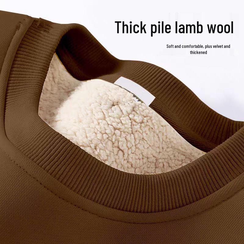 Men's 2024 Winter Thick Lambswool Hoodie - Round Neck, Solid Color, Long Sleeve, Velvet-Enhanced Warm Fleece.