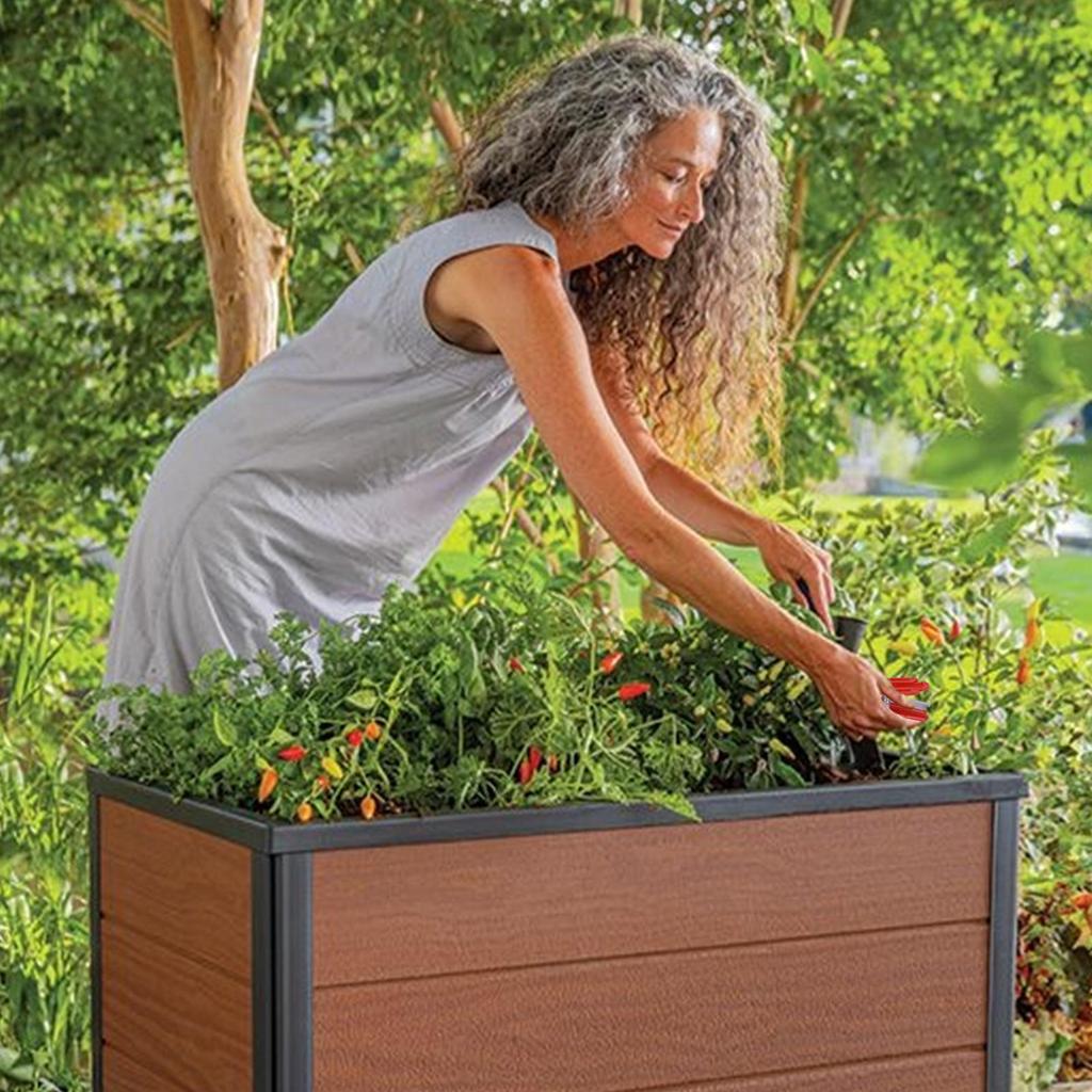 Narzędzie do zbioru warzyw i owoców Nóż do odrywania Separator Narzędzia ogrodnicze do zbierania w ogrodzie, na farmie, w sadzie